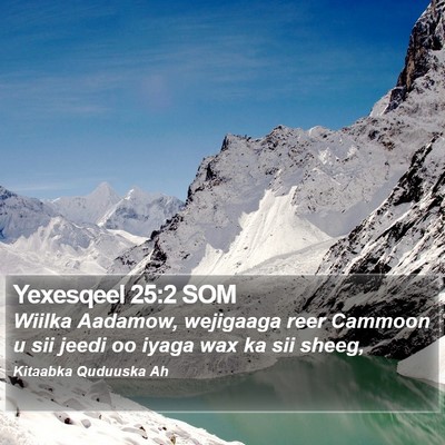 Yexesqeel 25:2 SOM Bible Verse Image