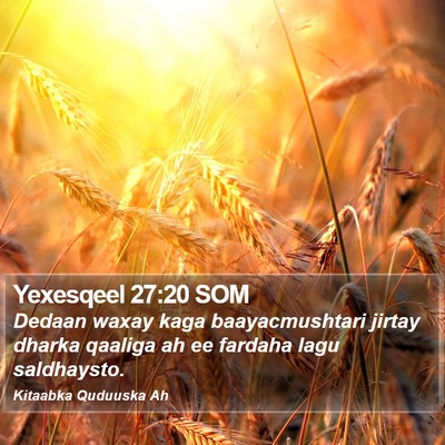 Yexesqeel 27:20 SOM Bible Verse Image