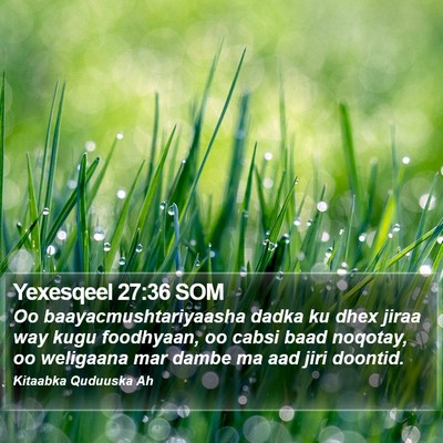 Yexesqeel 27:36 SOM Bible Verse Image