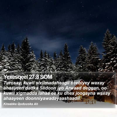 Yexesqeel 27:8 SOM Bible Verse Image