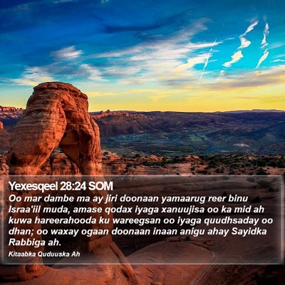Yexesqeel 28:24 SOM Bible Verse Image