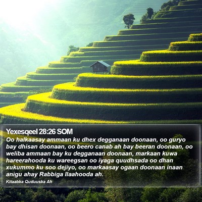 Yexesqeel 28:26 SOM Bible Verse Image