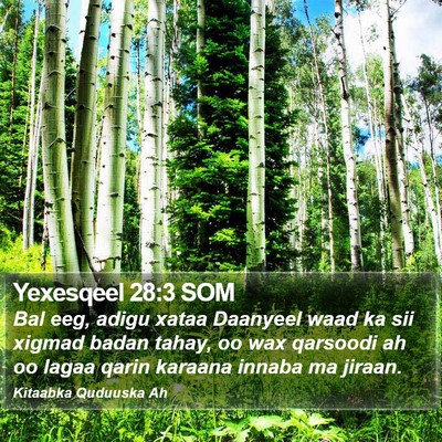Yexesqeel 28:3 SOM Bible Verse Image