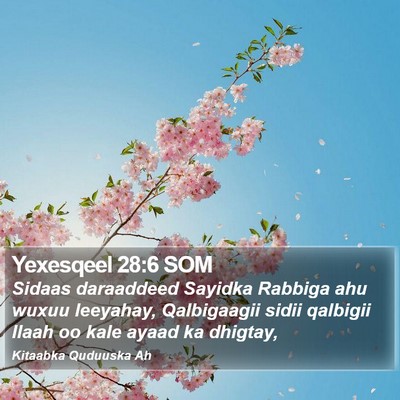 Yexesqeel 28:6 SOM Bible Verse Image