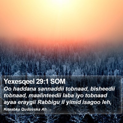 Yexesqeel 29:1 SOM Bible Verse Image