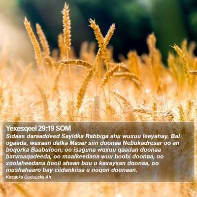 Yexesqeel 29:19 SOM Bible Verse Image