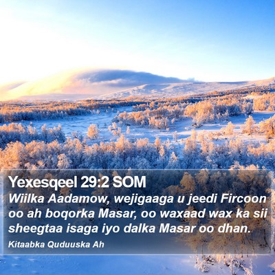Yexesqeel 29:2 SOM Bible Verse Image