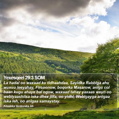 Yexesqeel 29:3 SOM Bible Verse Image