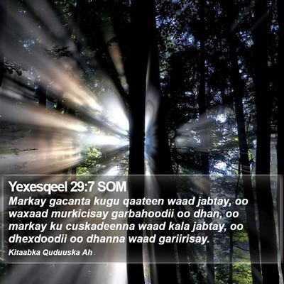 Yexesqeel 29:7 SOM Bible Verse Image