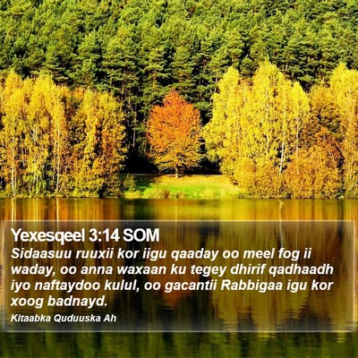 Yexesqeel 3:14 SOM Bible Verse Image