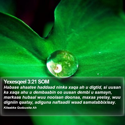 Yexesqeel 3:21 SOM Bible Verse Image