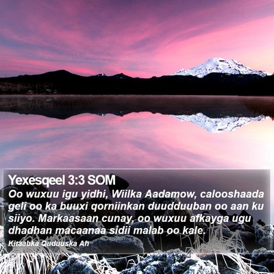 Yexesqeel 3:3 SOM Bible Verse Image