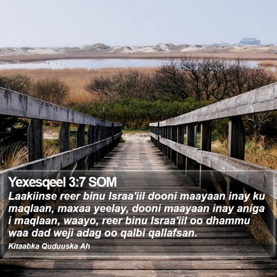 Yexesqeel 3:7 SOM Bible Verse Image