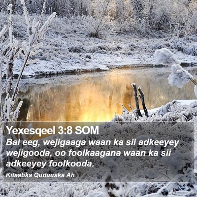 Yexesqeel 3:8 SOM Bible Verse Image