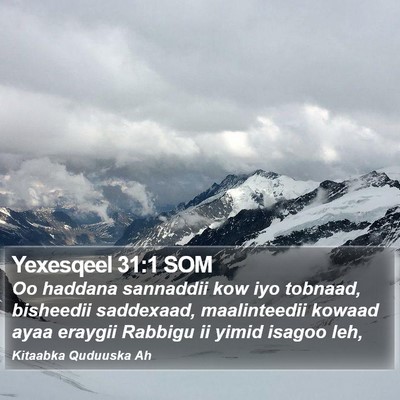 Yexesqeel 31:1 SOM Bible Verse Image
