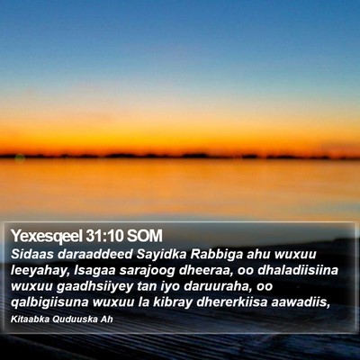 Yexesqeel 31:10 SOM Bible Verse Image