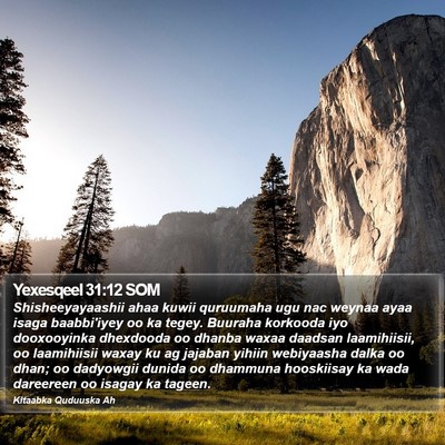Yexesqeel 31:12 SOM Bible Verse Image