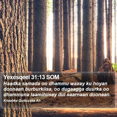 Yexesqeel 31:13 SOM Bible Verse Image