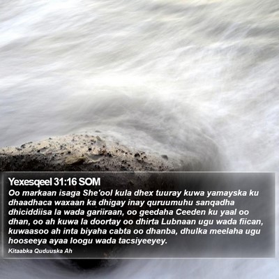 Yexesqeel 31:16 SOM Bible Verse Image