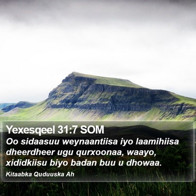 Yexesqeel 31:7 SOM Bible Verse Image