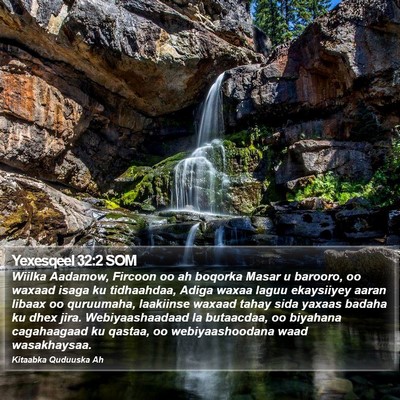 Yexesqeel 32:2 SOM Bible Verse Image