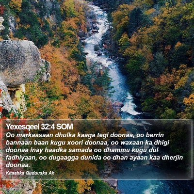 Yexesqeel 32:4 SOM Bible Verse Image