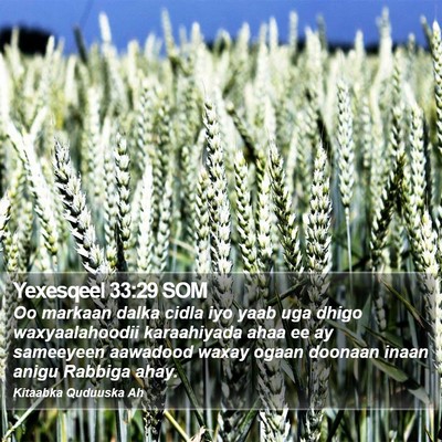 Yexesqeel 33:29 SOM Bible Verse Image