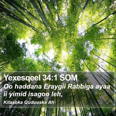 Yexesqeel 34:1 SOM Bible Verse Image