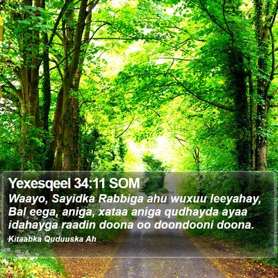 Yexesqeel 34:11 SOM Bible Verse Image