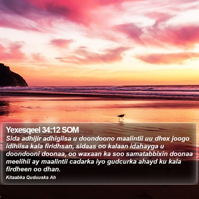 Yexesqeel 34:12 SOM Bible Verse Image
