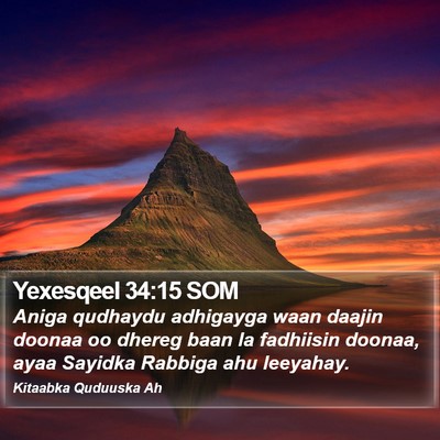 Yexesqeel 34:15 SOM Bible Verse Image