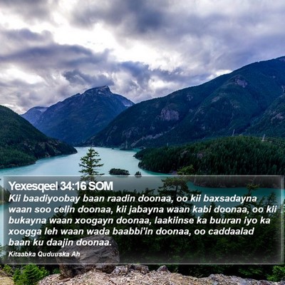 Yexesqeel 34:16 SOM Bible Verse Image