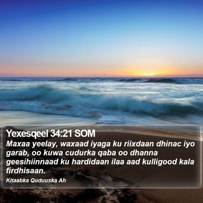 Yexesqeel 34:21 SOM Bible Verse Image