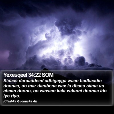 Yexesqeel 34:22 SOM Bible Verse Image