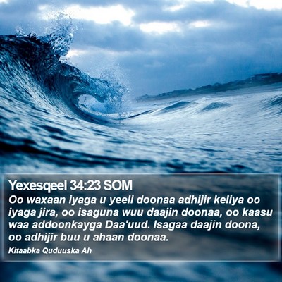 Yexesqeel 34:23 SOM Bible Verse Image
