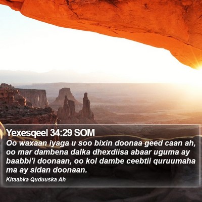 Yexesqeel 34:29 SOM Bible Verse Image