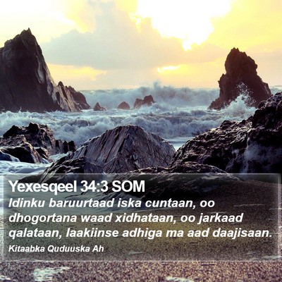 Yexesqeel 34:3 SOM Bible Verse Image
