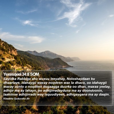 Yexesqeel 34:8 SOM Bible Verse Image