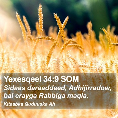 Yexesqeel 34:9 SOM Bible Verse Image