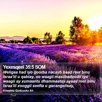 Yexesqeel 35:5 SOM Bible Verse Image