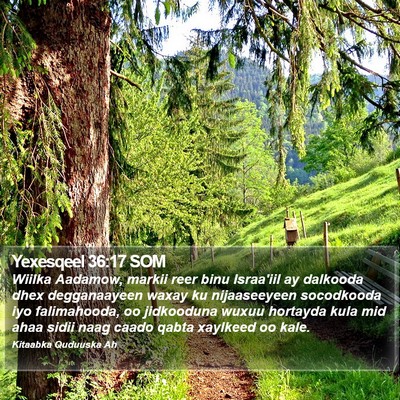 Yexesqeel 36:17 SOM Bible Verse Image