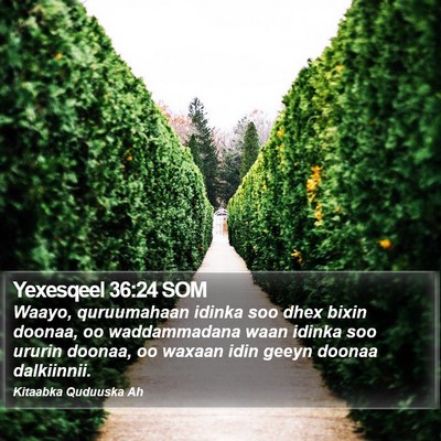Yexesqeel 36:24 SOM Bible Verse Image