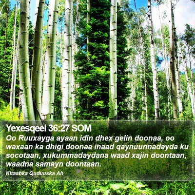 Yexesqeel 36:27 SOM Bible Verse Image