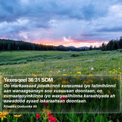 Yexesqeel 36:31 SOM Bible Verse Image