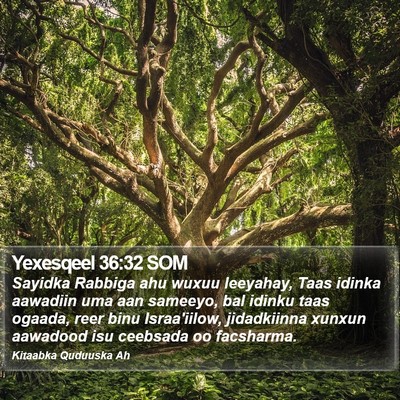 Yexesqeel 36:32 SOM Bible Verse Image