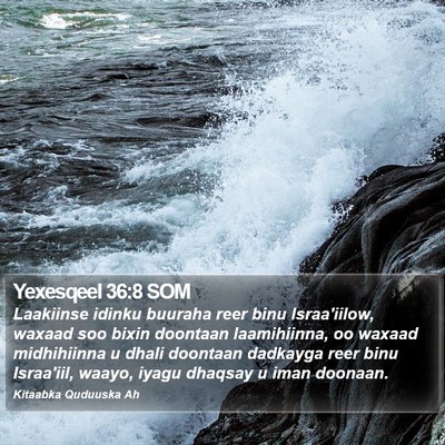 Yexesqeel 36:8 SOM Bible Verse Image