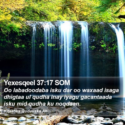 Yexesqeel 37:17 SOM Bible Verse Image