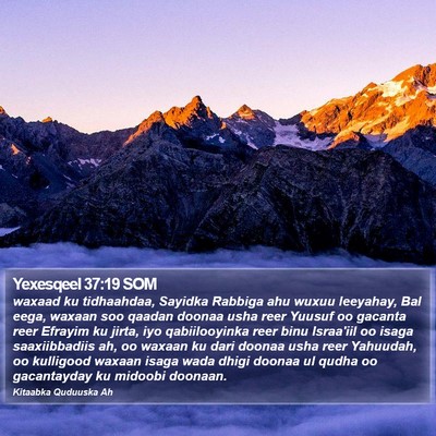 Yexesqeel 37:19 SOM Bible Verse Image