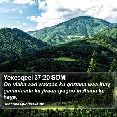 Yexesqeel 37:20 SOM Bible Verse Image