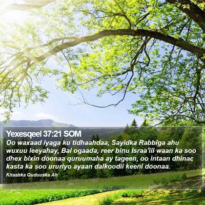 Yexesqeel 37:21 SOM Bible Verse Image